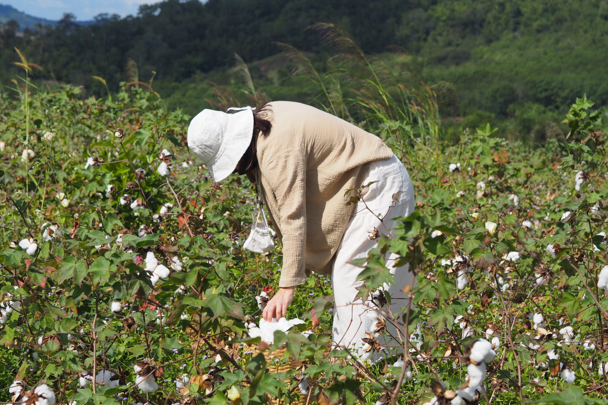 class trip picking cotton